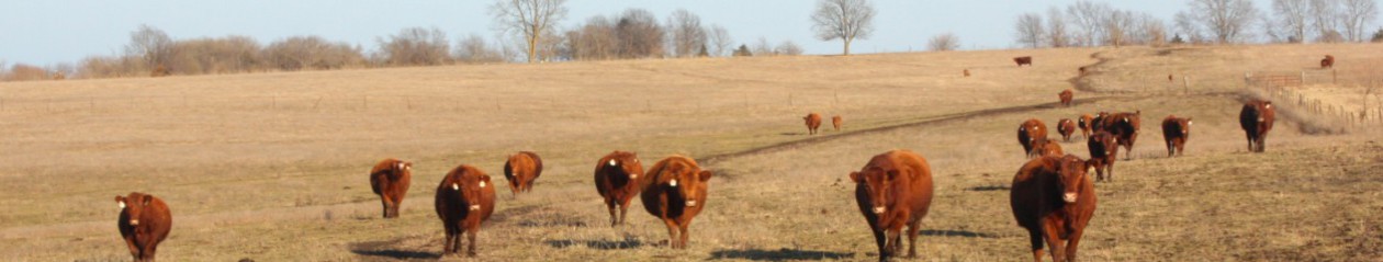 Heart of Missouri Farms     660-433-2541